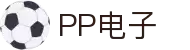 PP电子(中国)有限公司官网